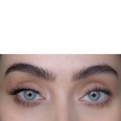 Sweed Beroe 3D Lashes - Black