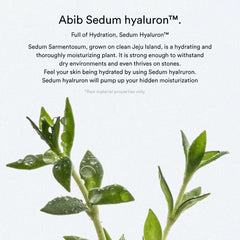 Abib - Sedum Hyaluron Crรจme Hydrating Pot