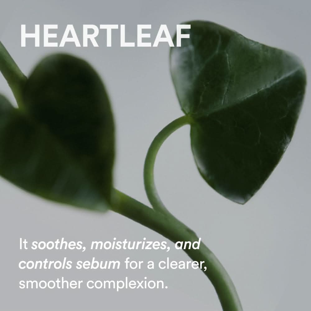 Abib - Pore Cleansing Oil Heartleaf Oil-Wash 200ml