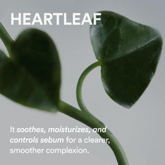 غسول زيتي لتنظيف المسام من أبيب - زيت أوراق القلب 200 مل