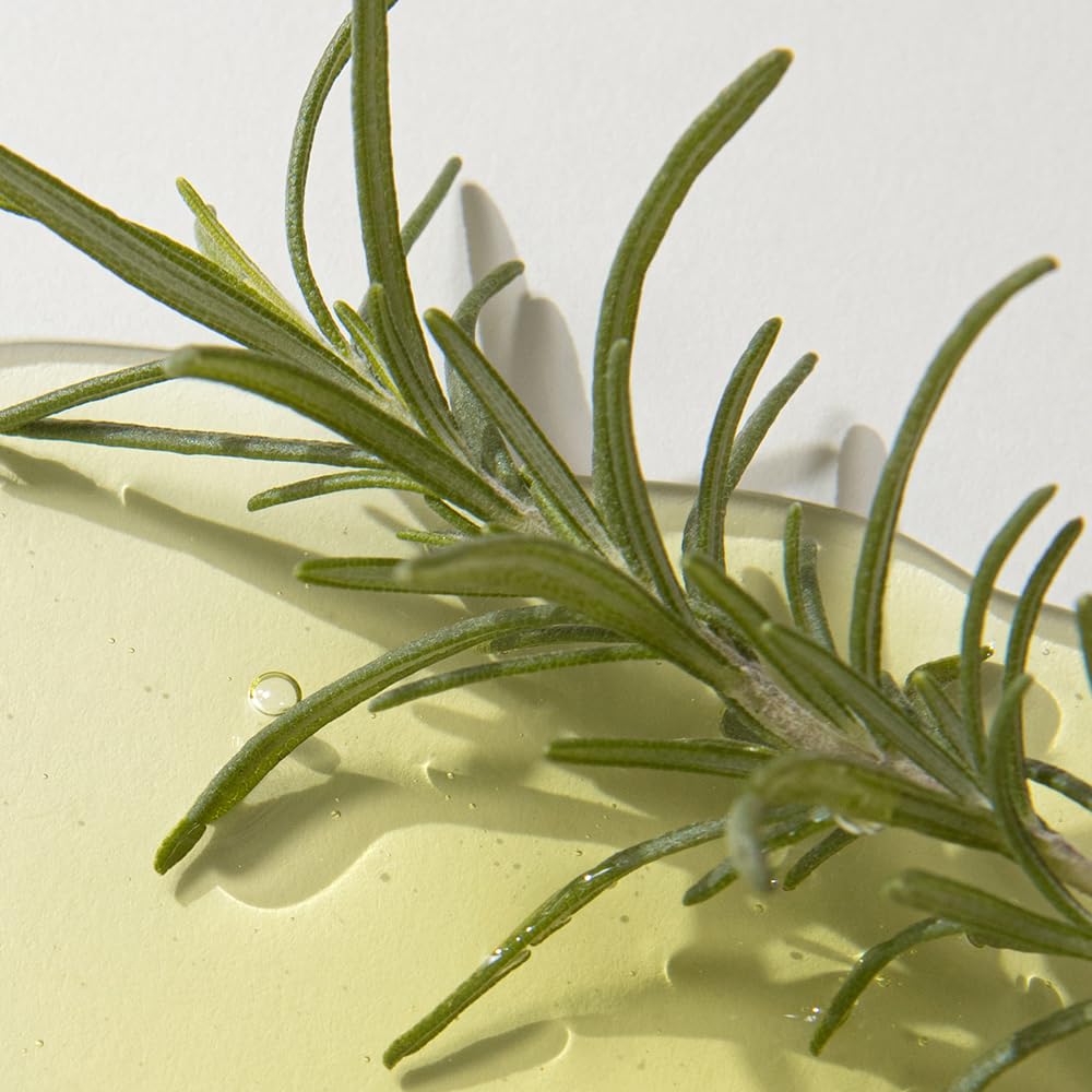 KAINE - Rosemary AHA Night Serum