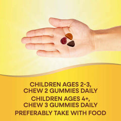 Nature's Way, Alive! Kids, Premium Gummy Multivitamin, Cherry, Grape & Orange, 90 Gummies