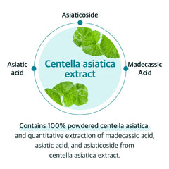 ALIVE:LAB - Centella Dressing Powder (8ml)