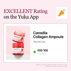 ROUND LAB - Camellia Deep Collagen Firming Ampoule