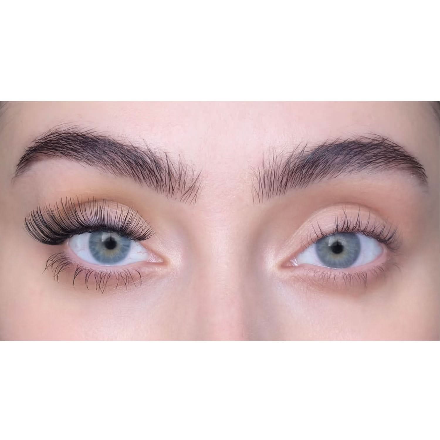 Sweed Iconic Lashes - Black