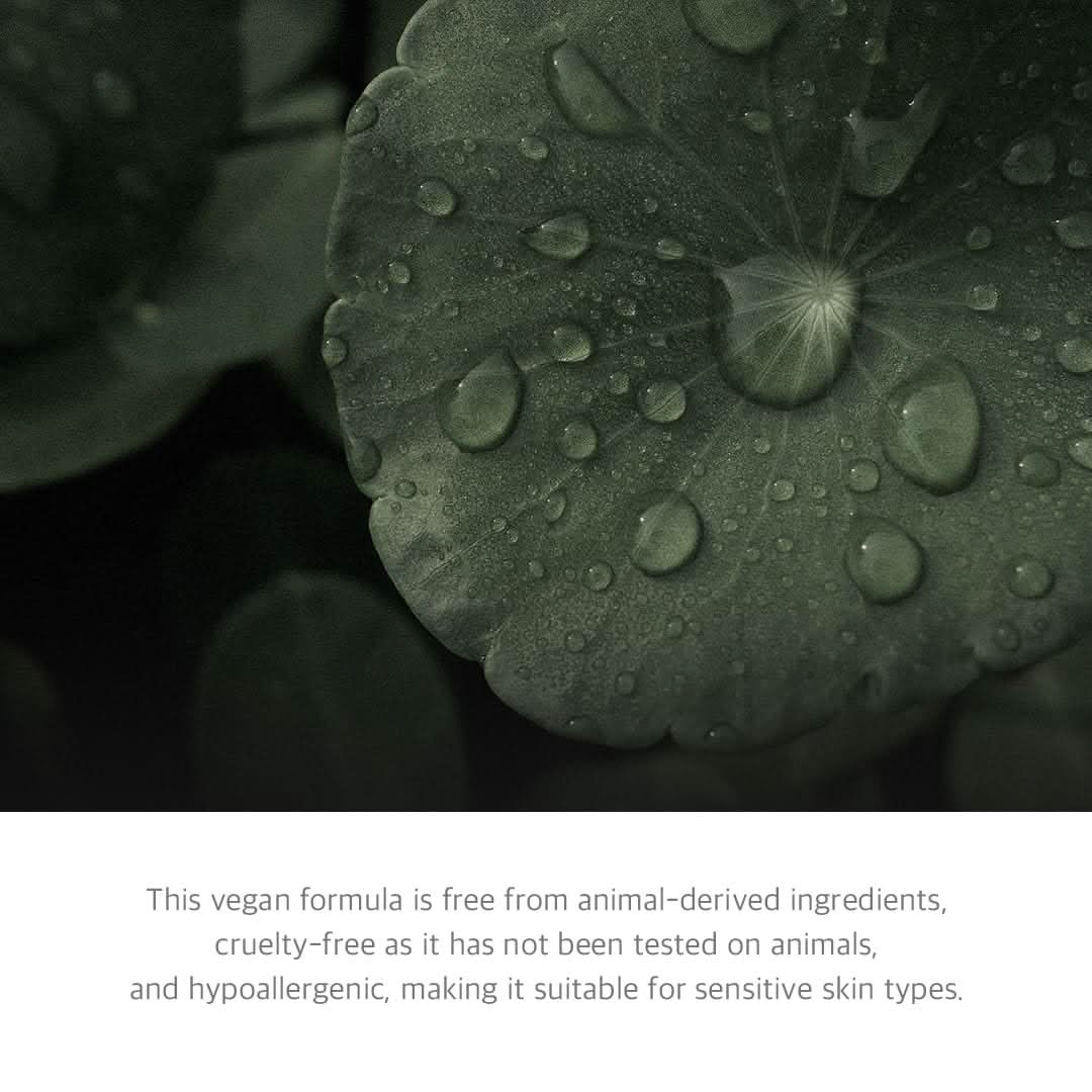 FREE MOMENT - Green Calming Serum Mist
