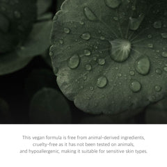 FREE MOMENT - Green Calming Serum Mist