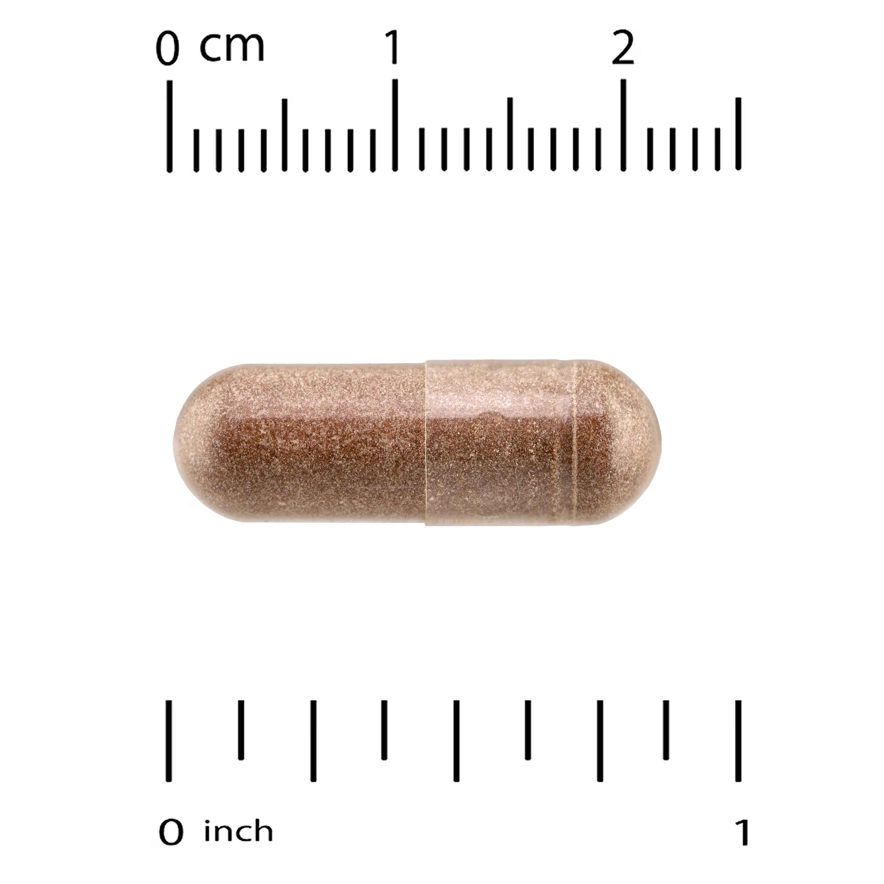 Quality of Life, Kinoko® Platinum AHCC®, 60 Vegicaps