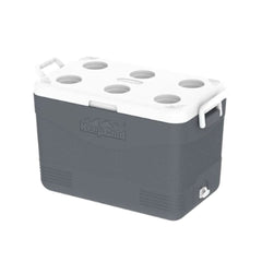 Cosmoplast KeepCold Picnic Icebox 46L