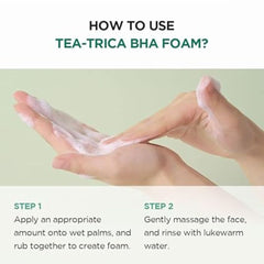 SKIN 1004 - Madagascar Centella Tea-trica BHA Foam