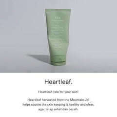 Abib - Acne Foam Cleanser Heartleaf Foam 150ml