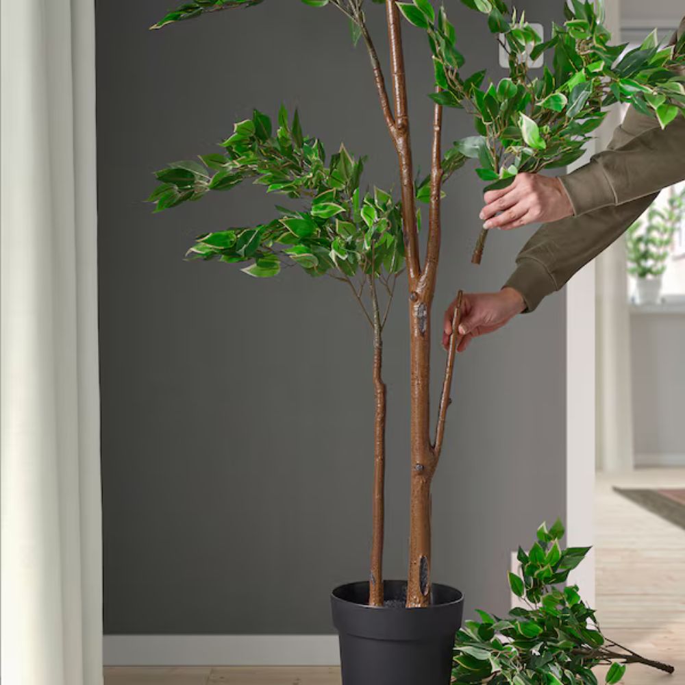 نبات صناعي من فيجكا، نبات تين باكٍ، مناسب للاستخدام الداخلي والخارجي، 21 سم