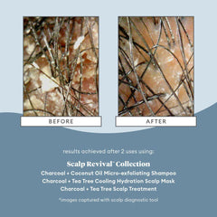 BRIOGEO Scalp Revivalβ’ Charcoal + Coconut Oil Micro-exfoliating Shampoo