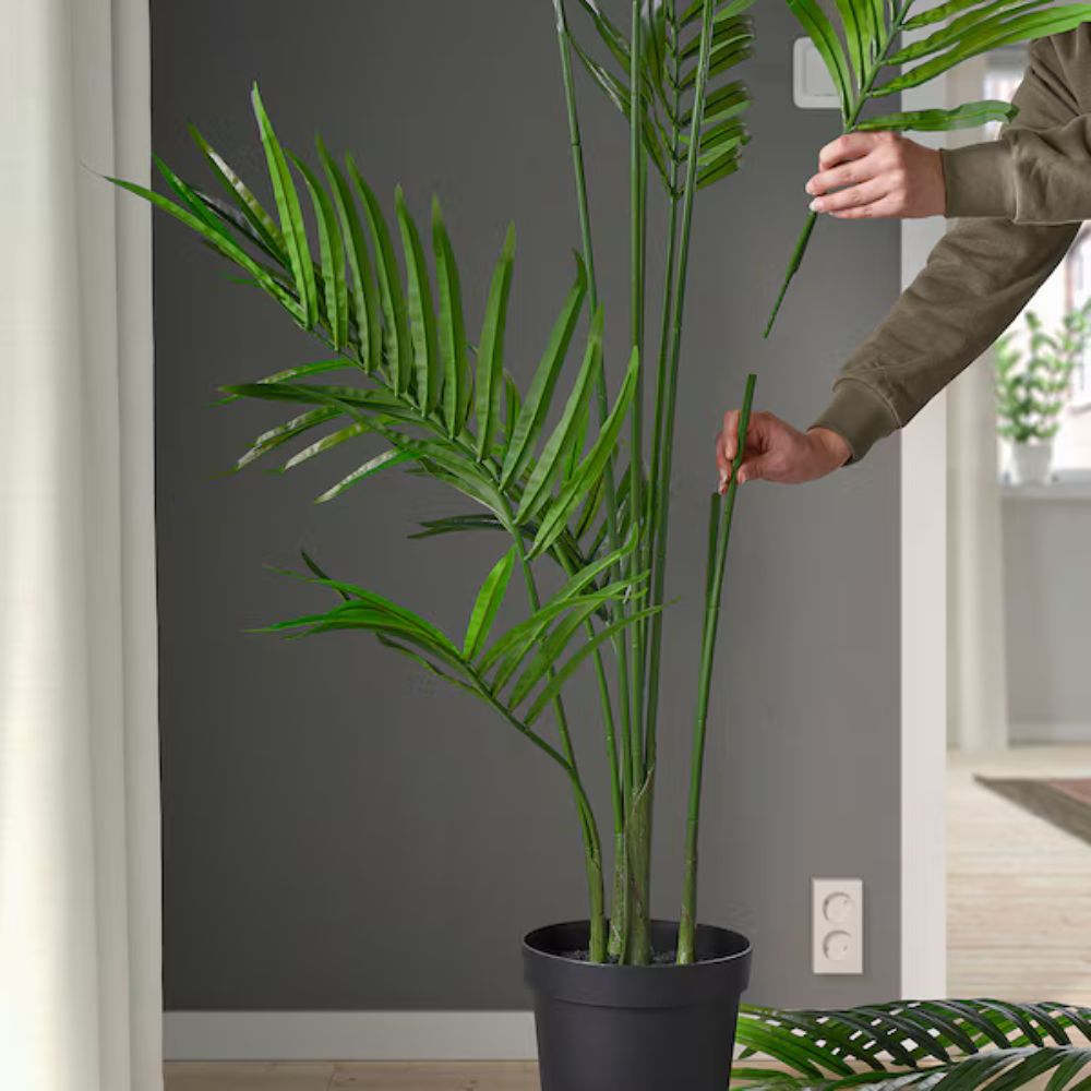 FEJKA Artificial potted plant, in/outdoor Kentia palm, 23 cm