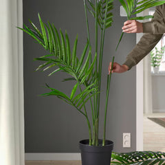 FEJKA Artificial potted plant, in/outdoor Kentia palm, 23 cm