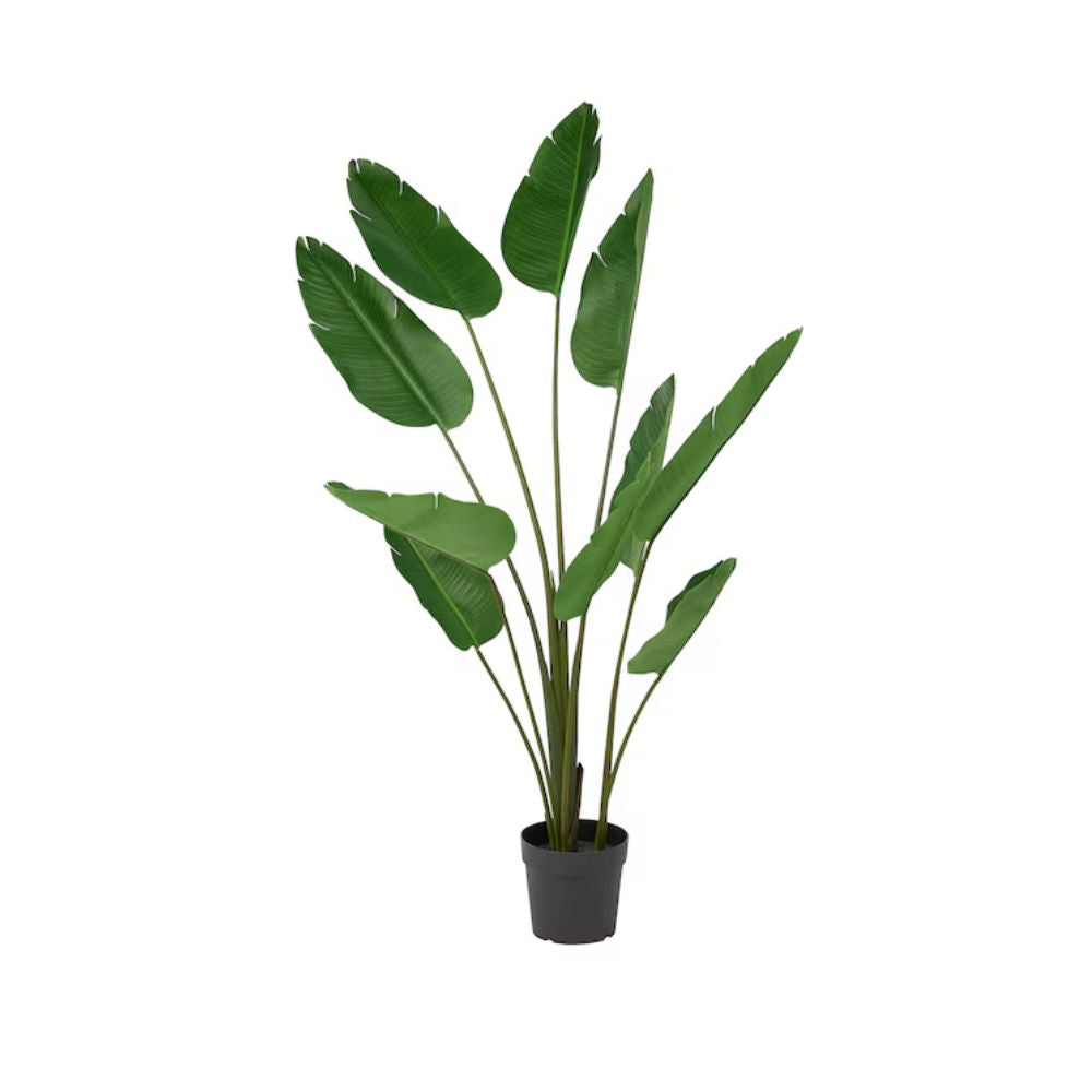 FEJKA Artificial potted plant, in/outdoor Bird of paradise, 23 cm