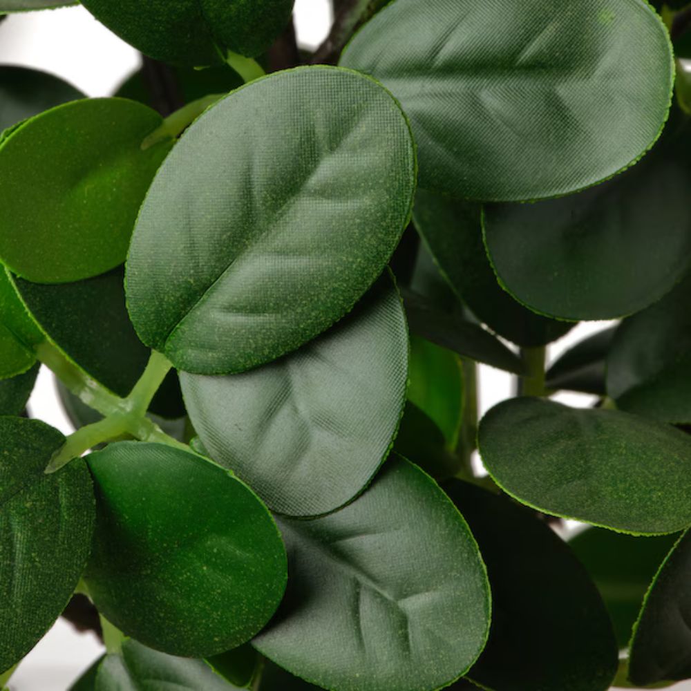 FEJKA Artificial potted plant with pot, in/outdoor bonsai, 16 cm