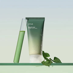 Anua - Heartleaf Pore Clay Pack (100ml)