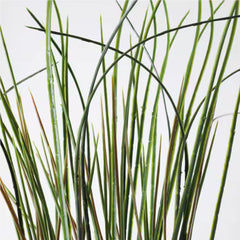 FEJKA Artificial potted plant, grass, 17 cm
