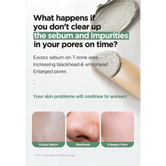 Isntree - Mugwort Calming Clay Mask Mini