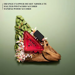 PRADA Paradoxe Radical Essence Parfum