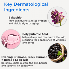 DERMAdoctor Calm Cool & Corrected Bakuchiol Retinol Alternative Serum for Sensitive, Dry, and Rosacea-Prone Skin 30ml