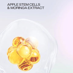 Margy's Stem Cells Illuminating Serum 30ml