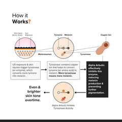 Minimalist Alpha Arbutin 2% Face Serum with Hyaluronic Acid 30ml
