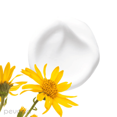 Pevonia Balancing Combination Skin Cream 50g