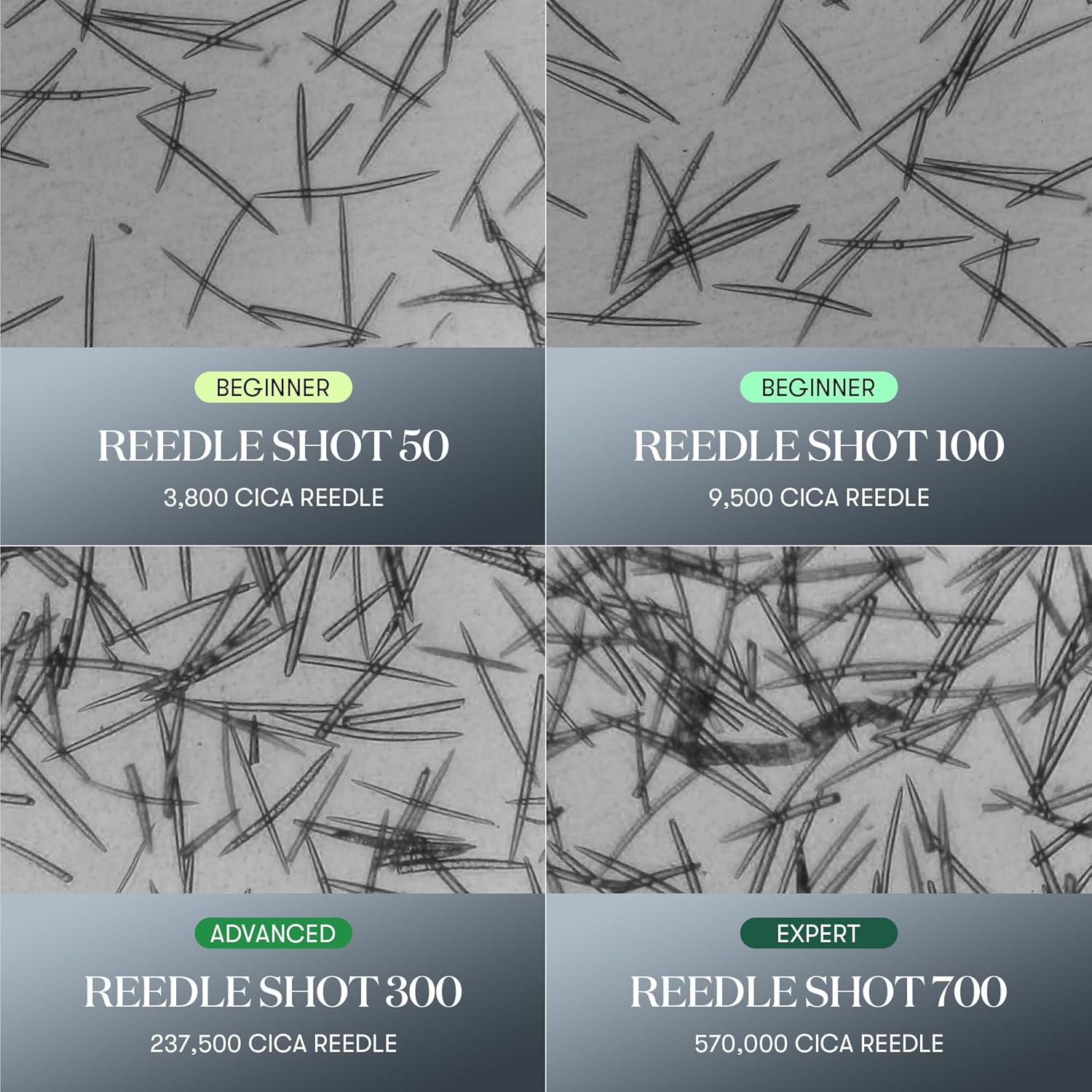 VT - Reedle Shot 100 Mini