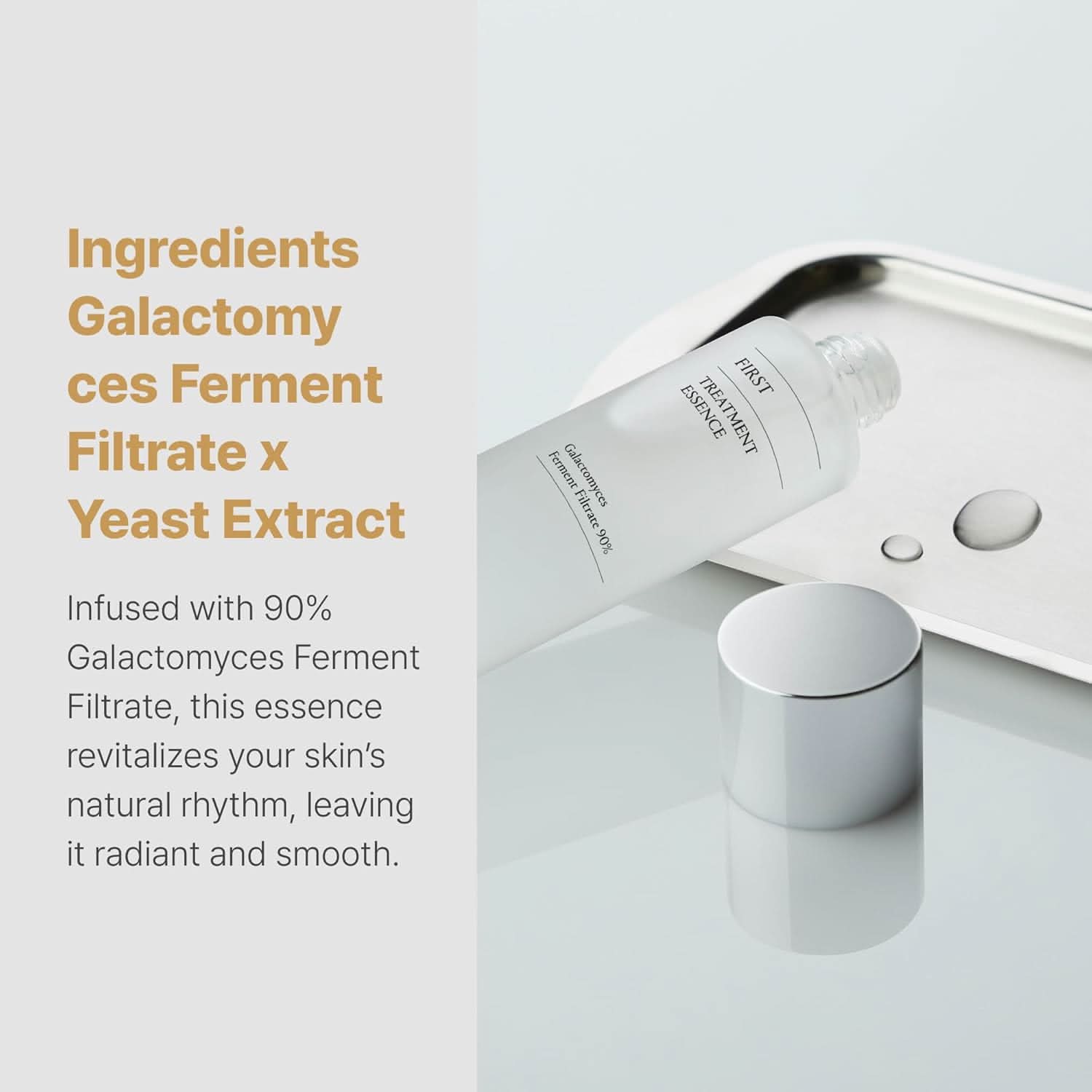 SCINIC - First Treatment Essence