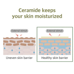 ROUND LAB - Soybean Cleanser