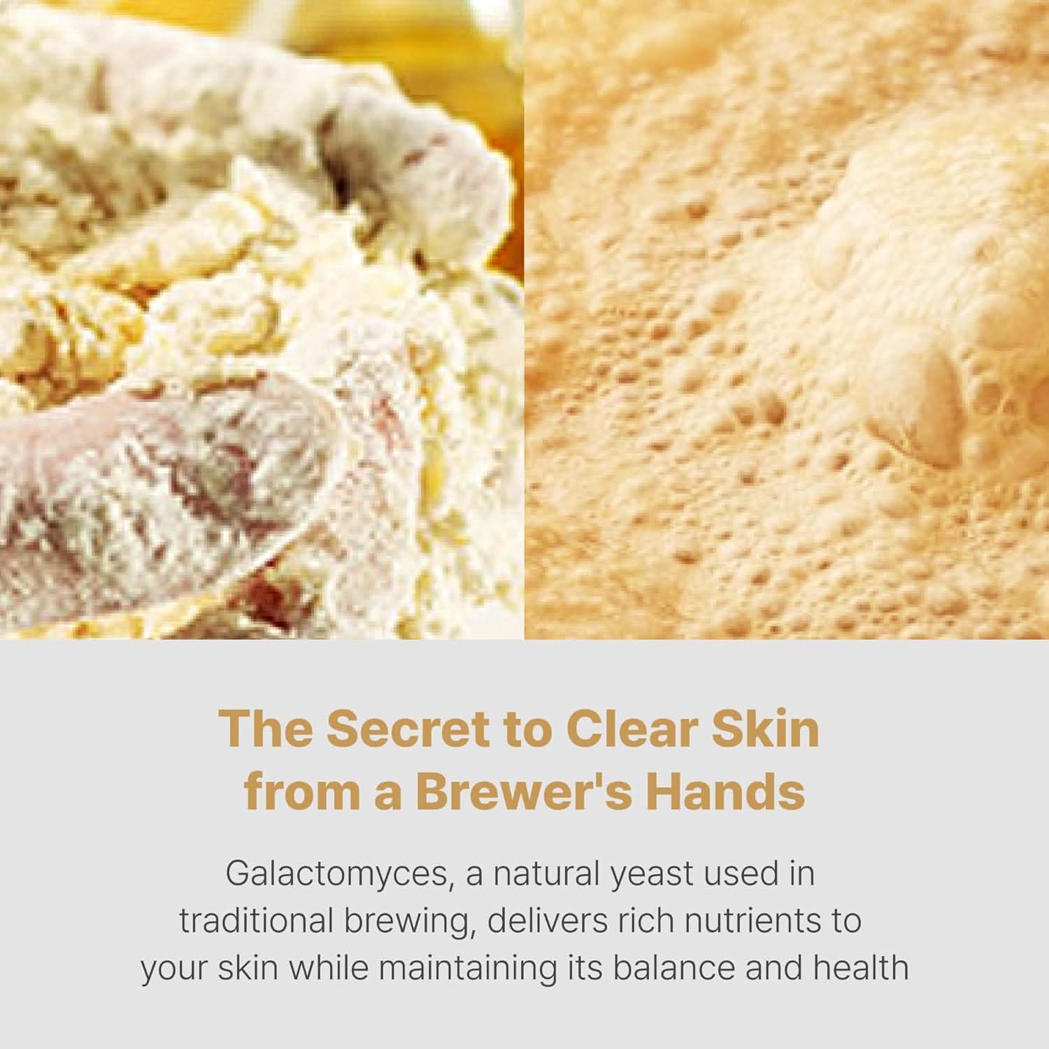 SCINIC - First Treatment Essence