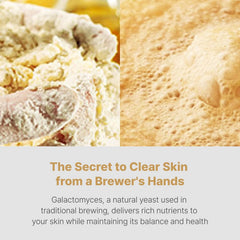 SCINIC - First Treatment Essence