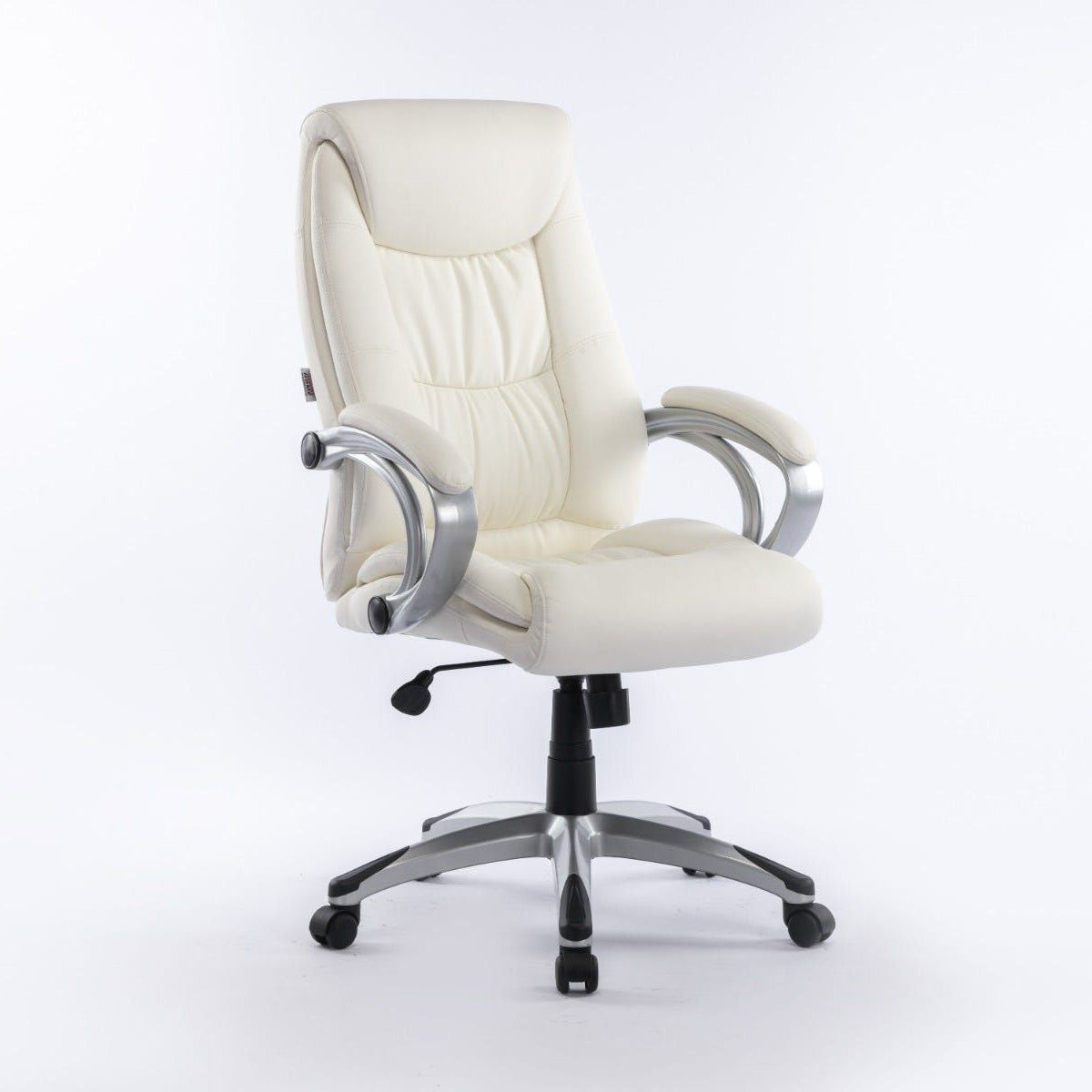 Trenvi Swivel High Back Office Chair