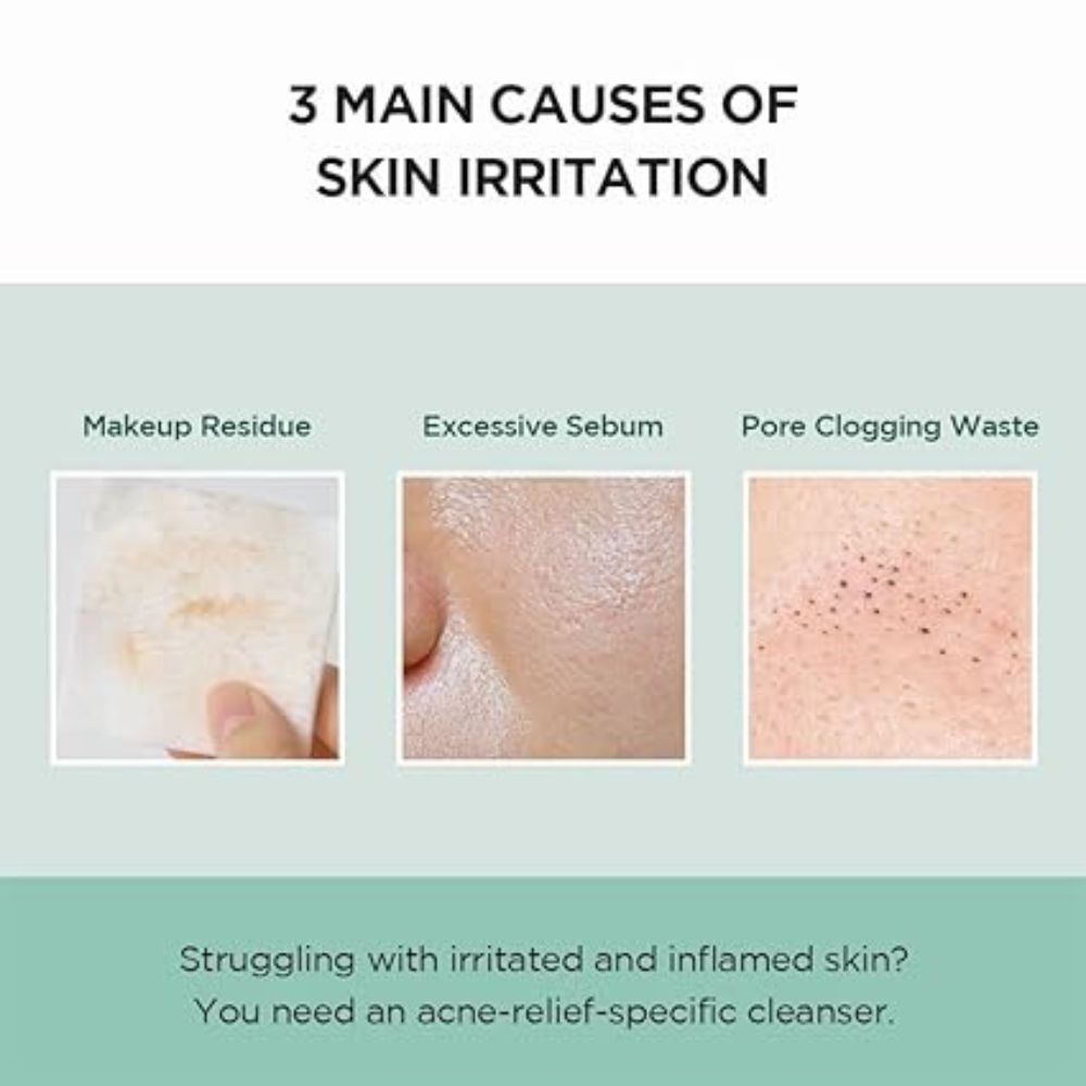 SKIN 1004 - Madagascar Centella Tea-trica BHA Foam