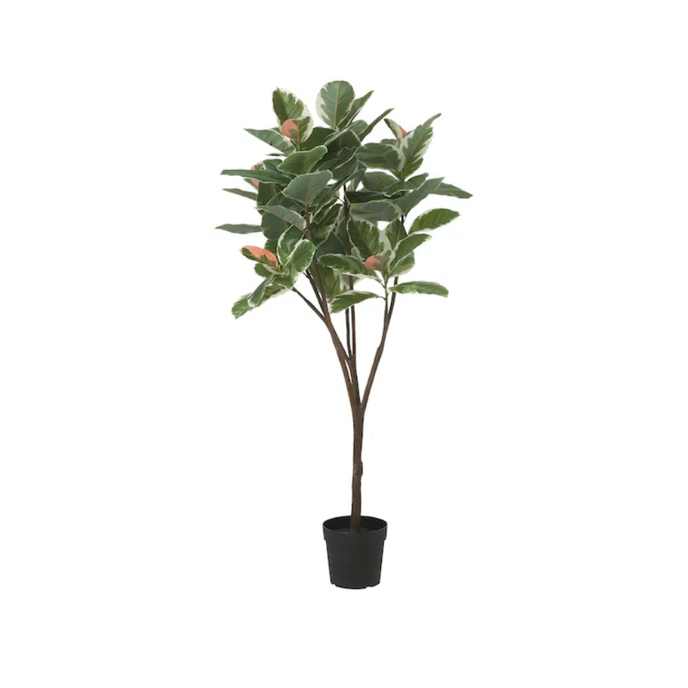 FEJKA Artificial potted plant, in/outdoor Rubber plant, 23 cm