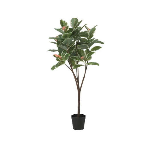 FEJKA Artificial potted plant, in/outdoor Rubber plant, 23 cm