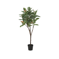 FEJKA Artificial potted plant, in/outdoor Rubber plant, 23 cm