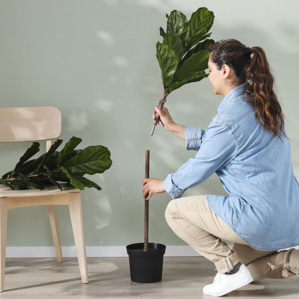 نبات صناعي من فيجكا، نبات التين الورقي، مناسب للاستخدام الداخلي والخارجي، 19 سم