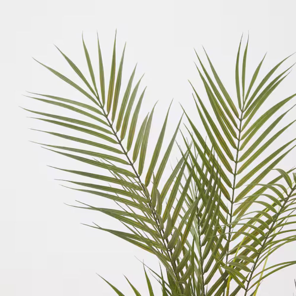 FEJKA Artificial potted plant, in/outdoor/Kentia palm, 15 cm