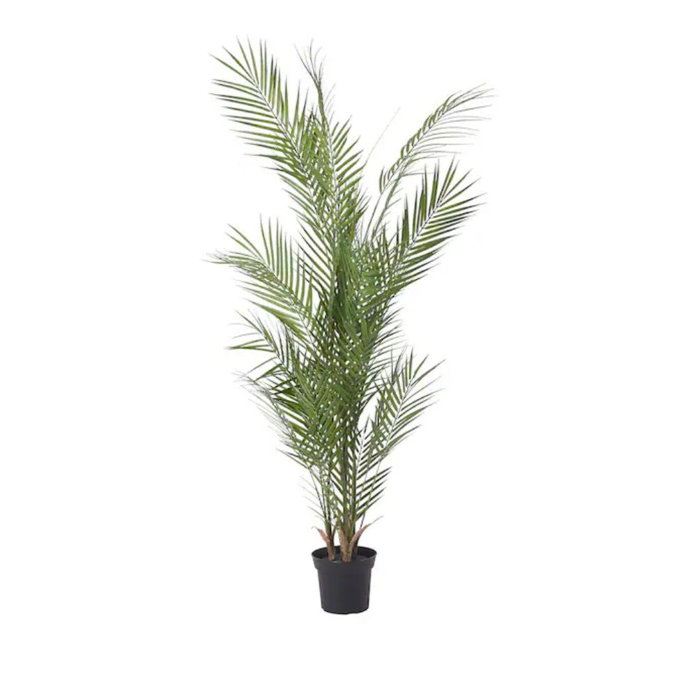 FEJKA Artificial potted plant, in/outdoor/Kentia palm, 15 cm