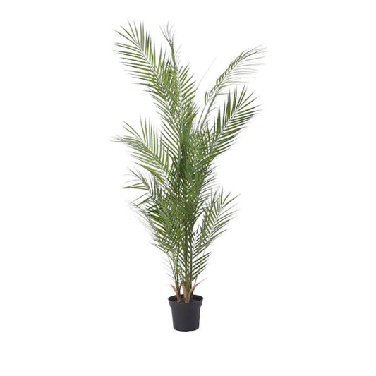 FEJKA Artificial potted plant, in/outdoor/Kentia palm, 15 cm
