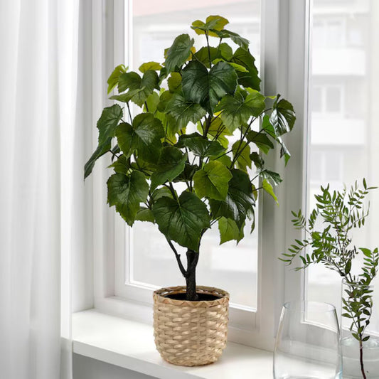 FEJKA Artificial potted plant, in/outdoor Crimson glory vine, 15 cm