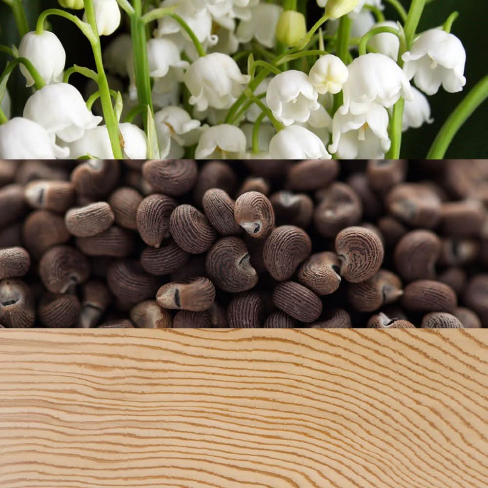 عطر كالفن كلاين بيوتي أو دي بارفان 100 مل