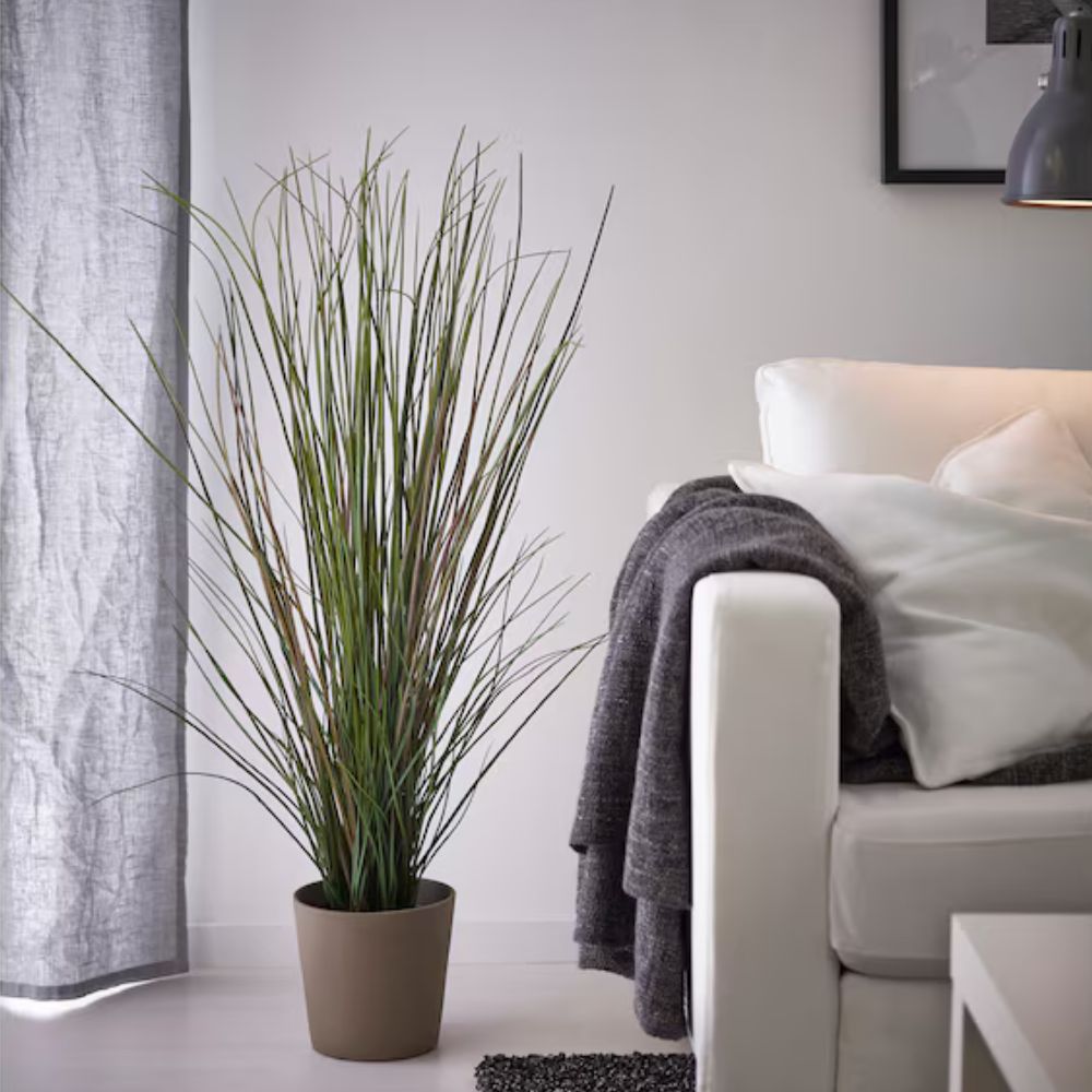 FEJKA Artificial potted plant, grass, 17 cm