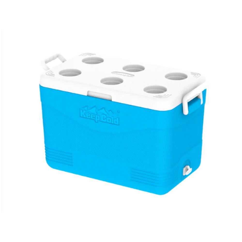 Cosmoplast KeepCold Picnic Icebox 46L